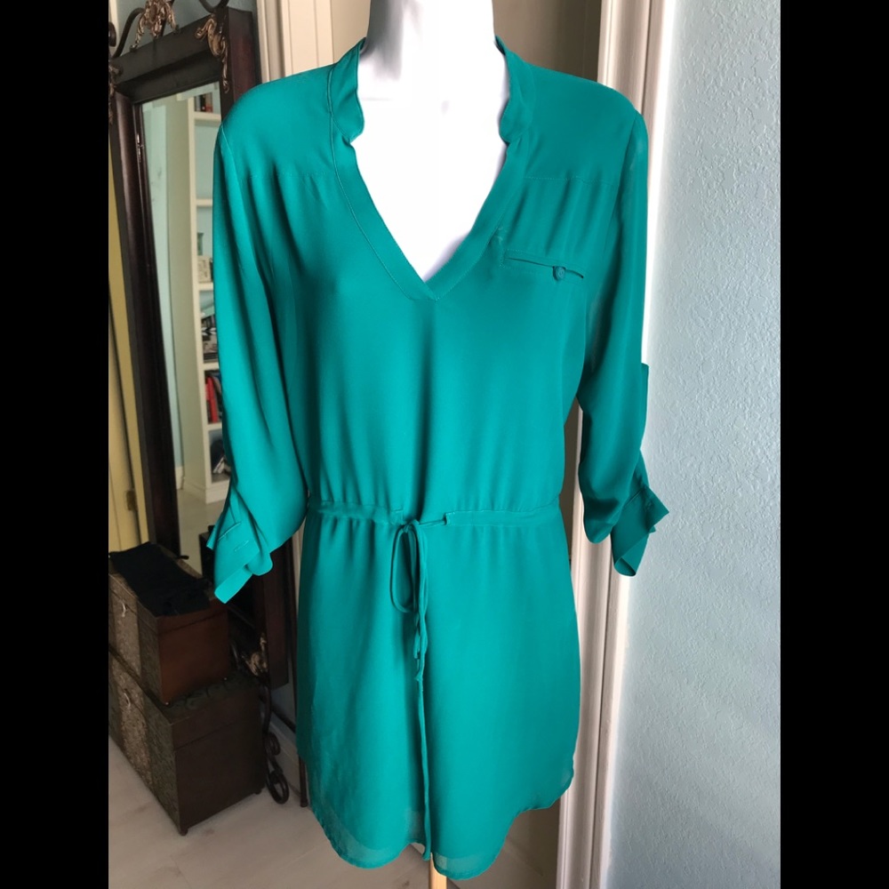 Naked Zebra Teal Dress
